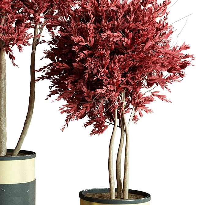 Modern Indoor Plant Collection 2015 3D model image 3