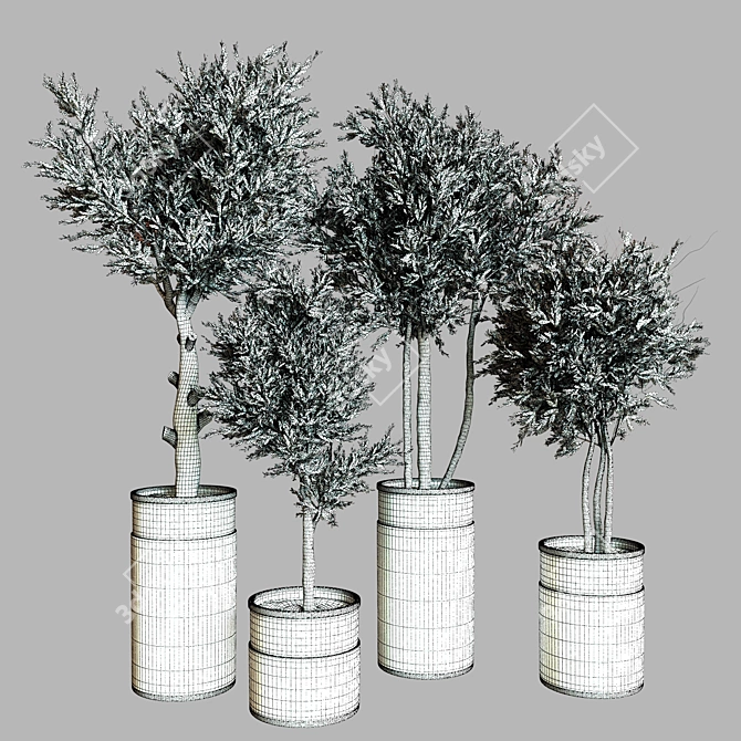 Modern Indoor Plant Collection 2015 3D model image 4