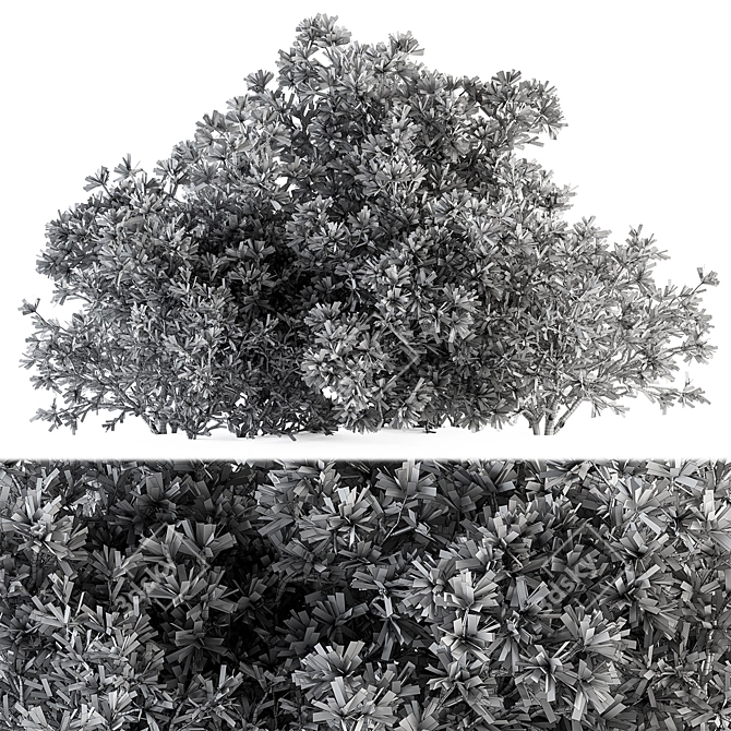 Bush Set 69 - Small Bushes 3D model image 4