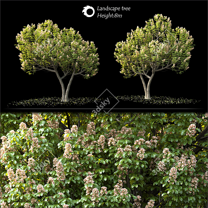 Corona Render 3D Landscape Tree 3D model image 2