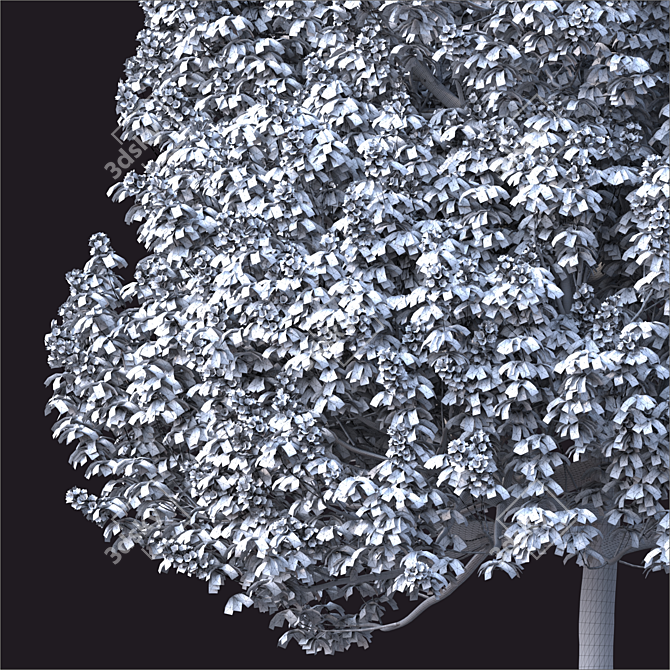 2014 Landscape Tree 8m Render 3D model image 3