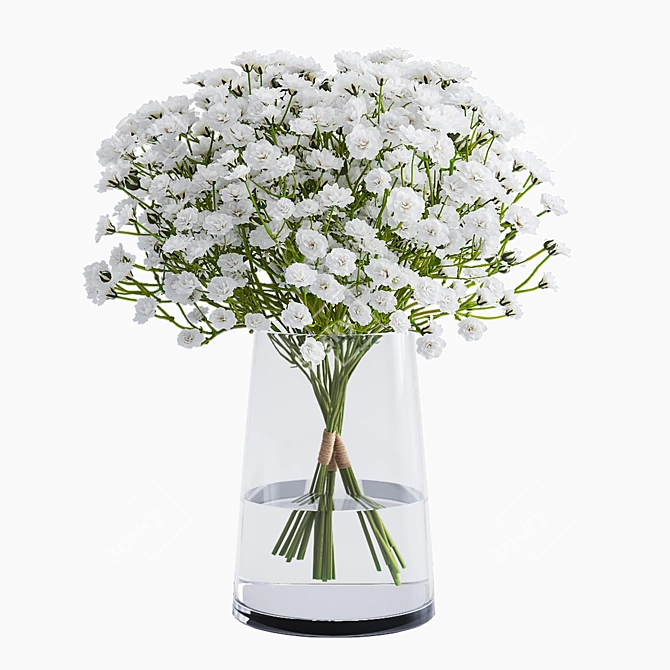 Vibrant Gypsophila 3D Model Plugin 3D model image 1