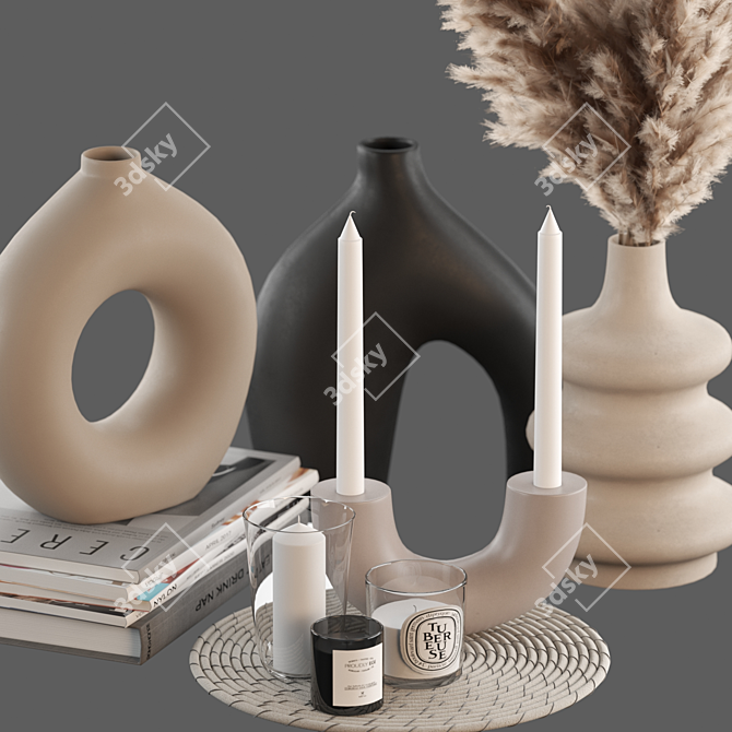 Pampas Zara Home Decor Set 3D model image 2