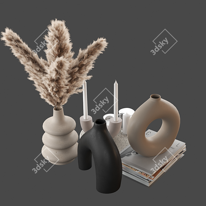 Pampas Zara Home Decor Set 3D model image 3