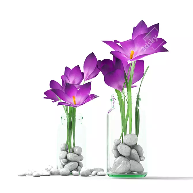 Crocuses in Glass Bottle 3D model image 1