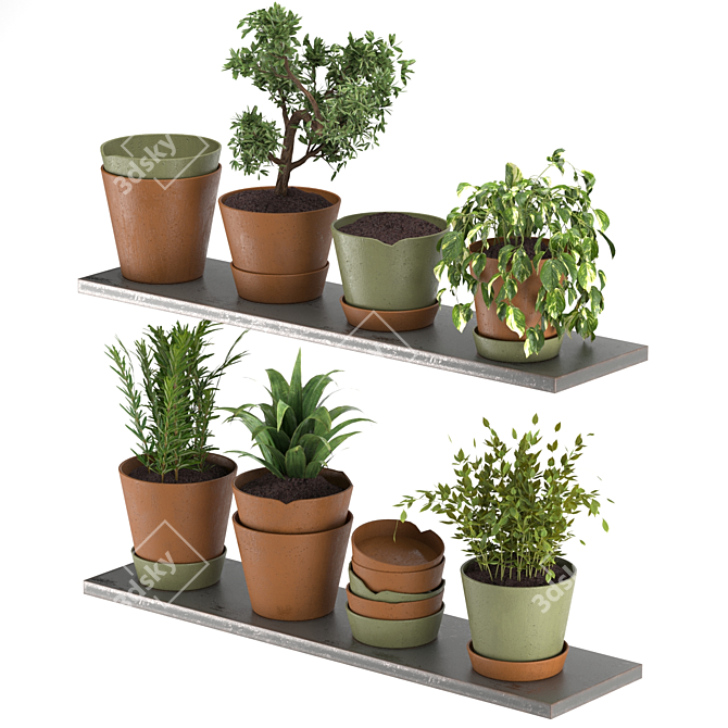 Modern Indoor Plant Collection Nim07 3D model image 2