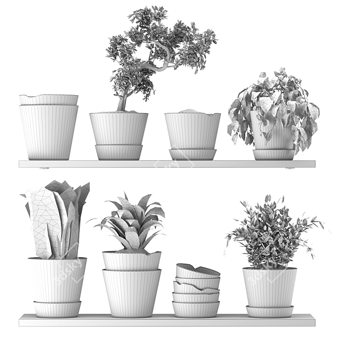 Modern Indoor Plant Collection Nim07 3D model image 3