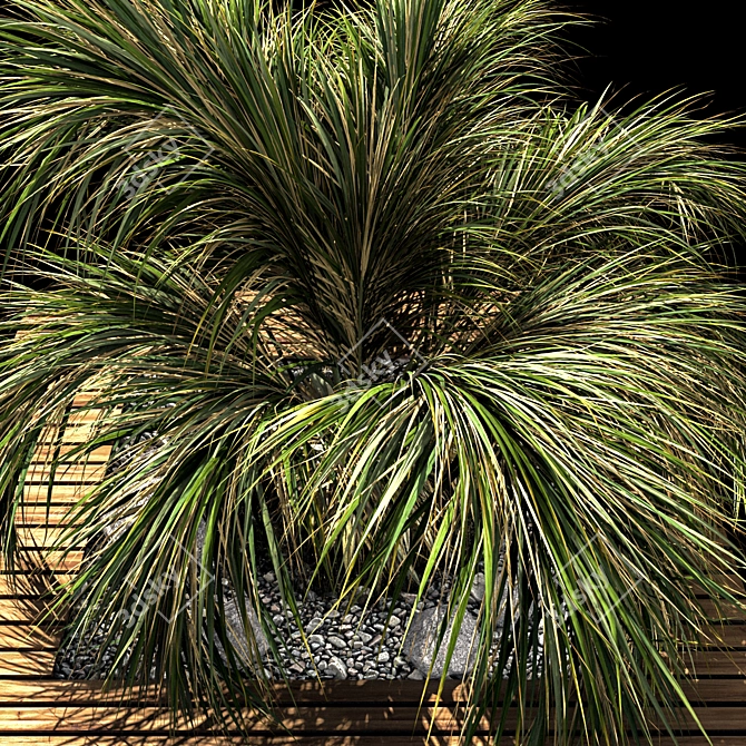 2017 Palm Shrub Model Kit 3D model image 2