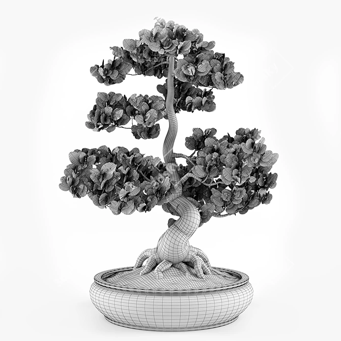 Miniature Bonsai Tree Replica 3D model image 6