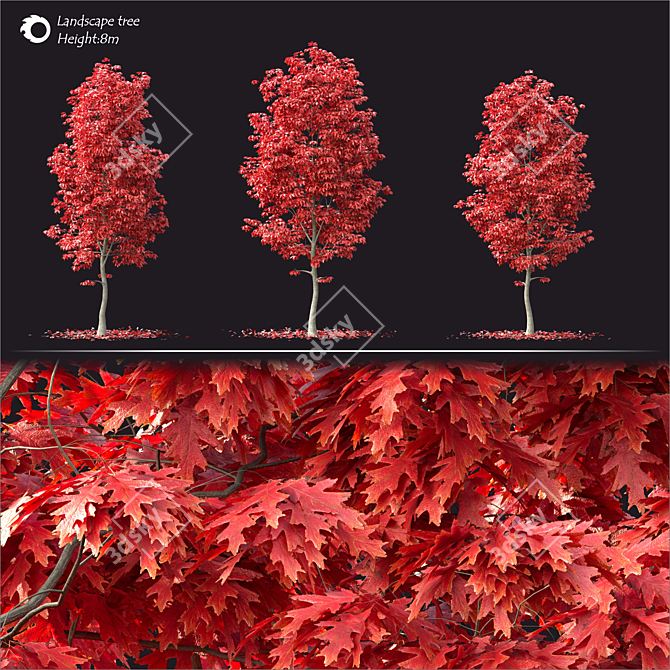 Corona Render Landscape Tree Model 3D model image 2