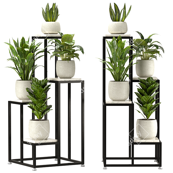 Interior Plant Collection 3D Model 3D model image 1