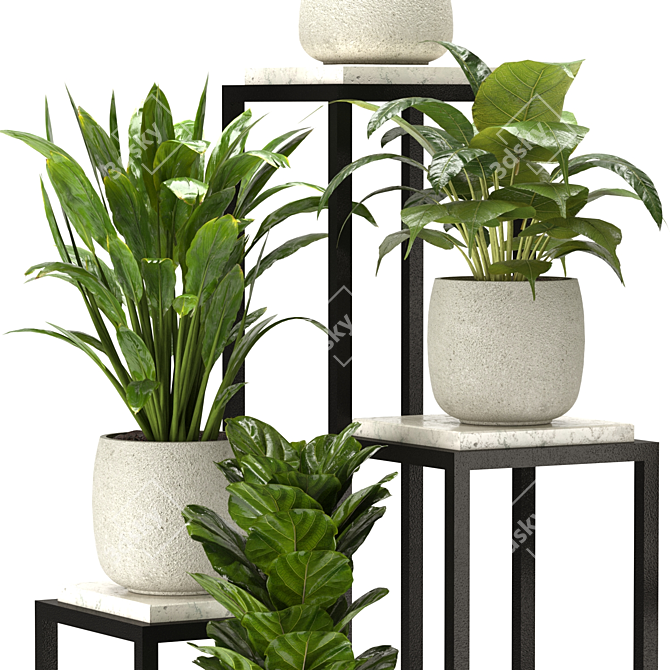 Interior Plant Collection 3D Model 3D model image 2