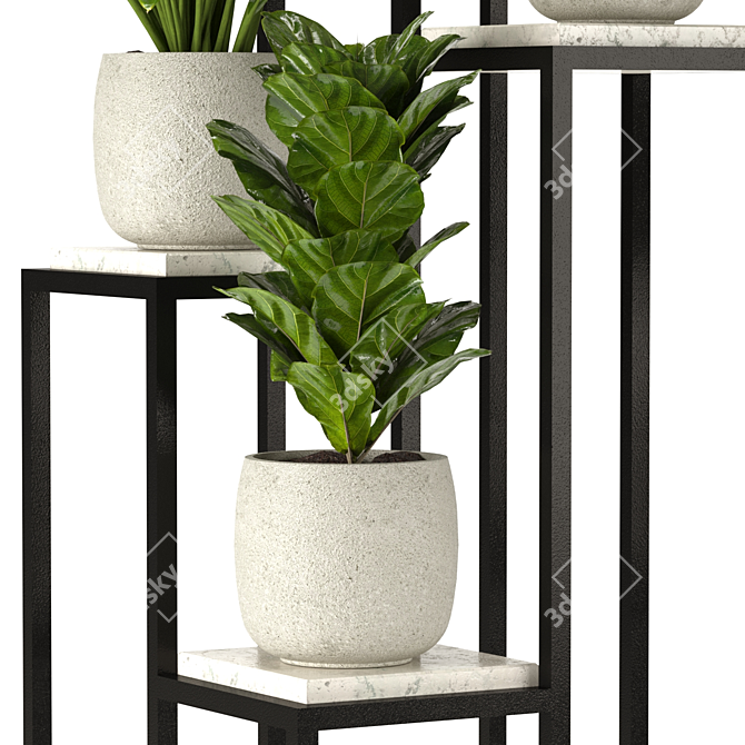 Interior Plant Collection 3D Model 3D model image 3