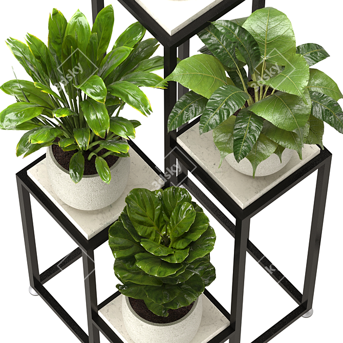 Interior Plant Collection 3D Model 3D model image 4