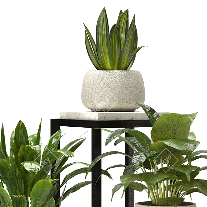 Interior Plant Collection 3D Model 3D model image 5