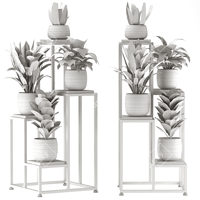 Interior Plant Collection 3D Model 3D model image 6