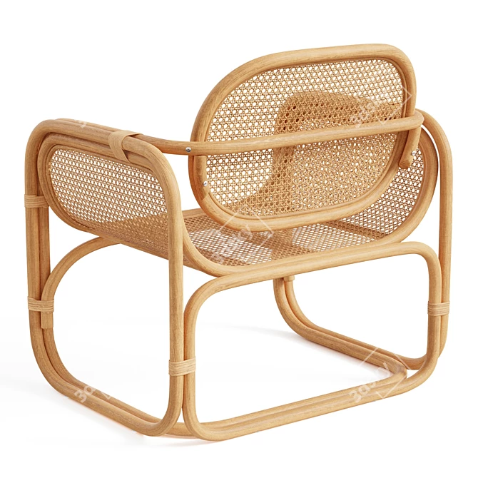 Modern Rattan Lounge Chair 3D model image 3