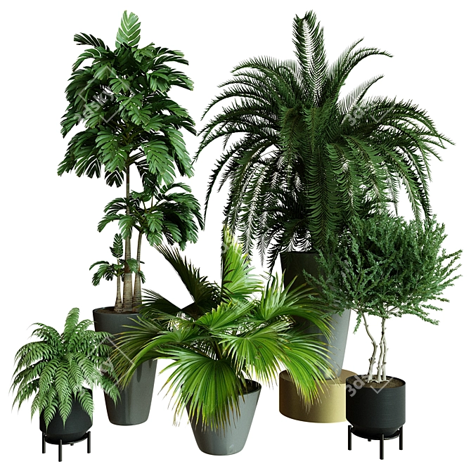 Modern Indoor Plant Collection Set 3D model image 1