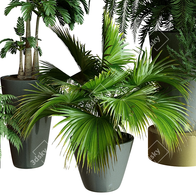 Modern Indoor Plant Collection Set 3D model image 2