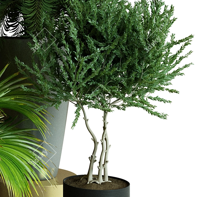 Modern Indoor Plant Collection Set 3D model image 3