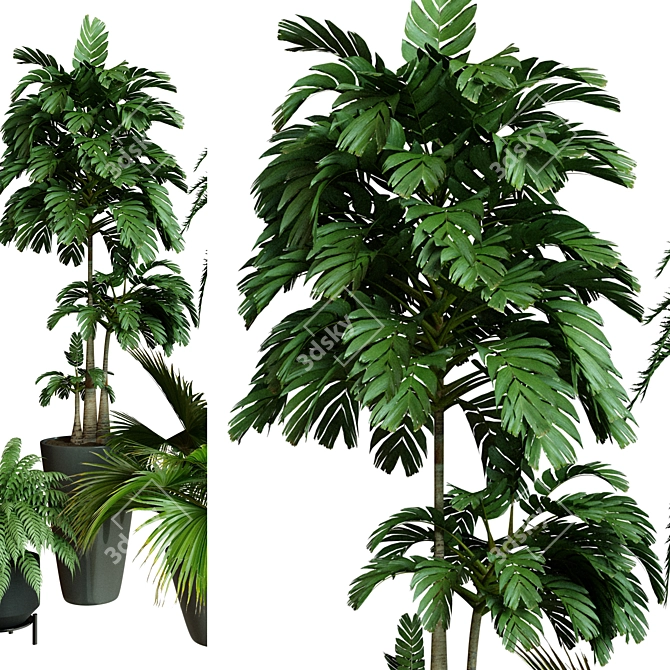 Modern Indoor Plant Collection Set 3D model image 4