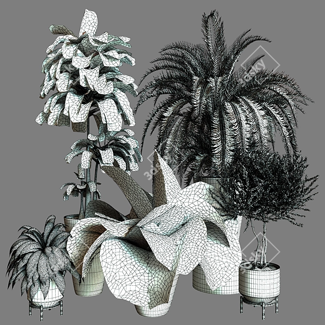 Modern Indoor Plant Collection Set 3D model image 5