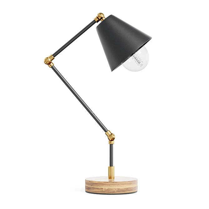 Adjustable Vintage Desk Lamp 3D model image 3