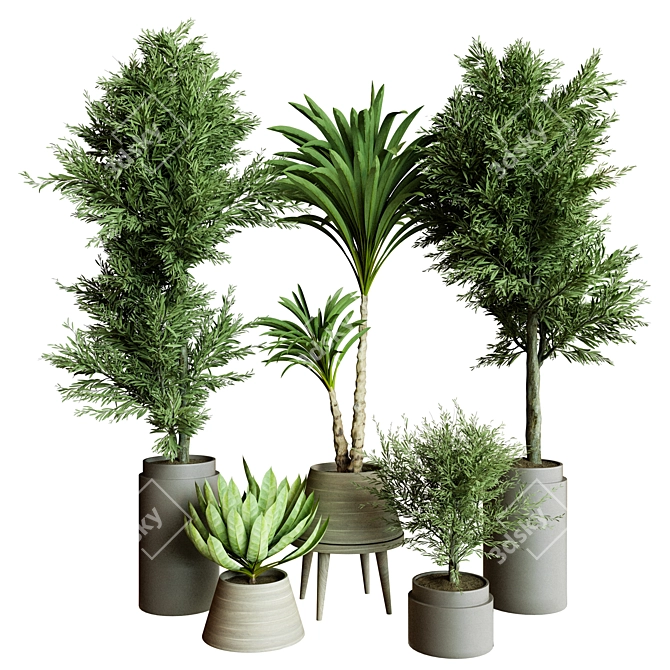 Collection_Indoor_Plant_61 3D Model 3D model image 1