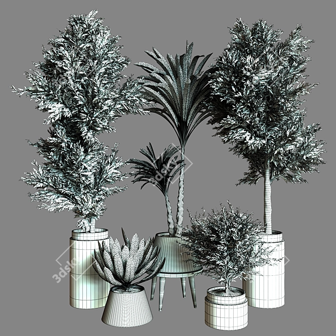 Collection_Indoor_Plant_61 3D Model 3D model image 4