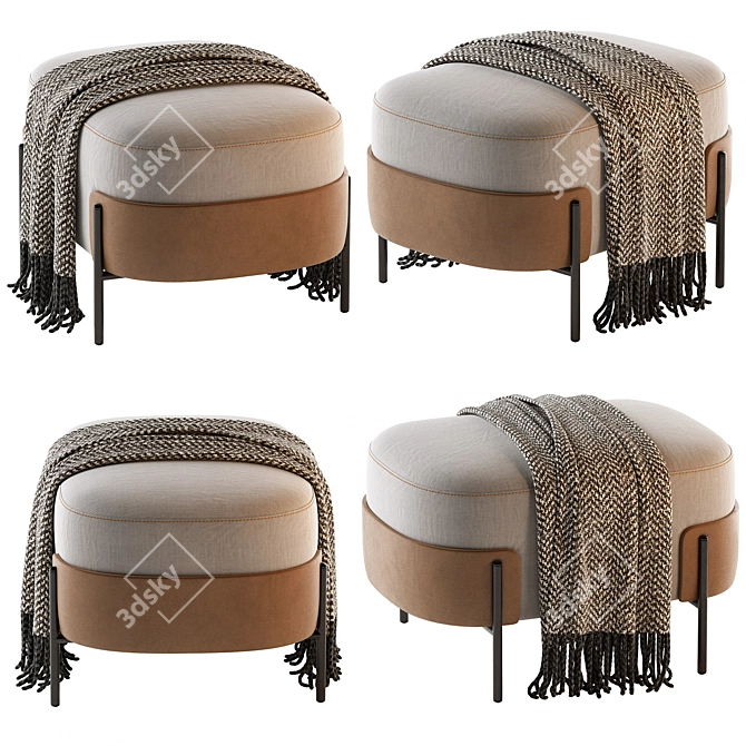 Contemporary Pouf WAM BROSS 3D model image 2