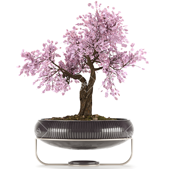 Serene Bonsai Tree Model 3D model image 1