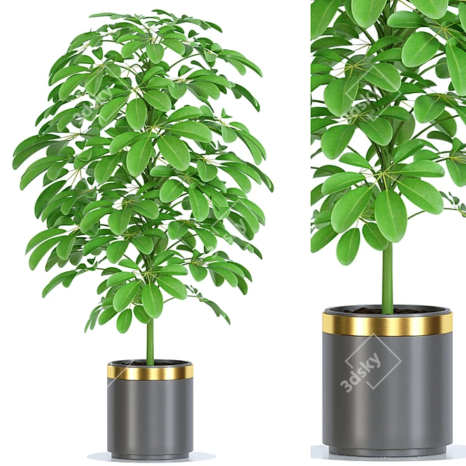 Minimalistic Plant Collection Set 3D model image 1