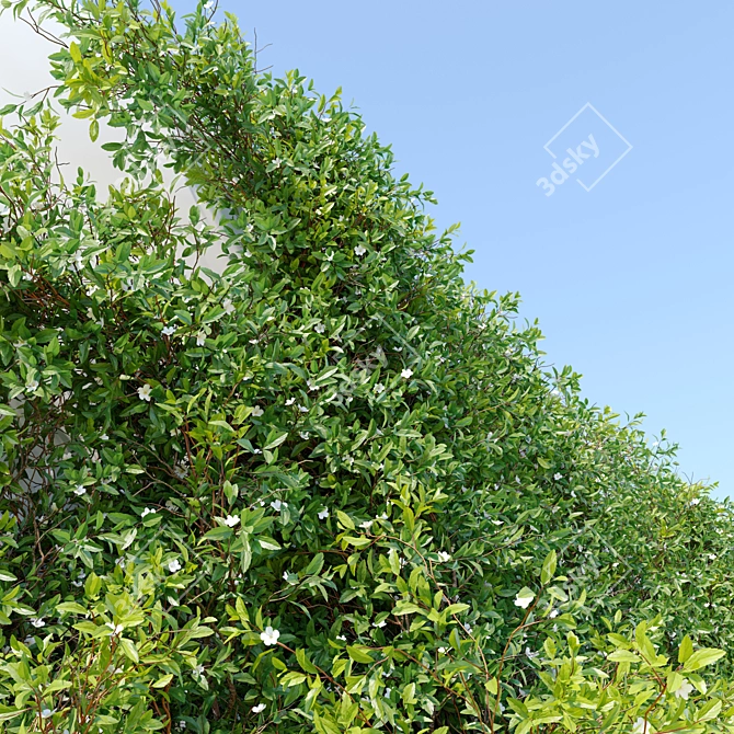  Twin Vine Plants, 3.5m Height 3D model image 2