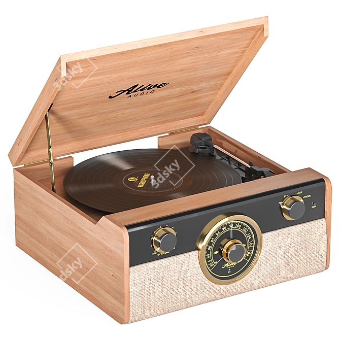 Vinyl Player Fusion with Storage Box 3D model image 2