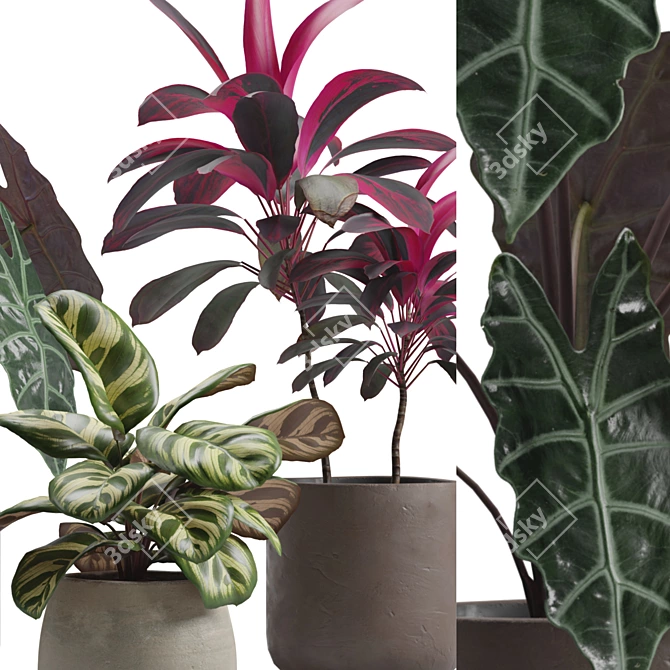 Exotic Indoor Plants Pack 14 3D model image 2