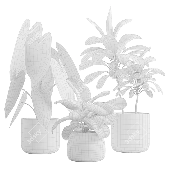 Exotic Indoor Plants Pack 14 3D model image 3