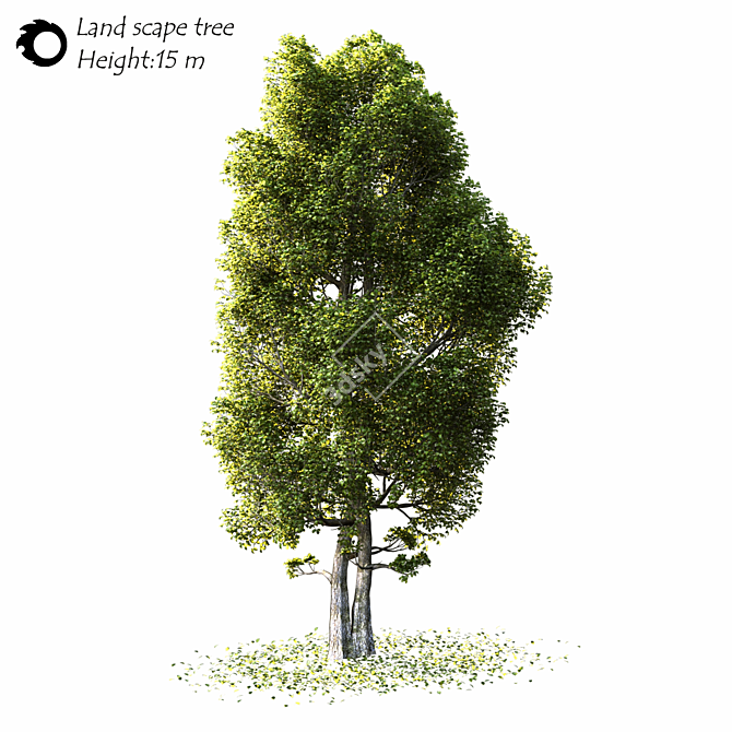 Corona Render Landscape Tree 2014 3D model image 1