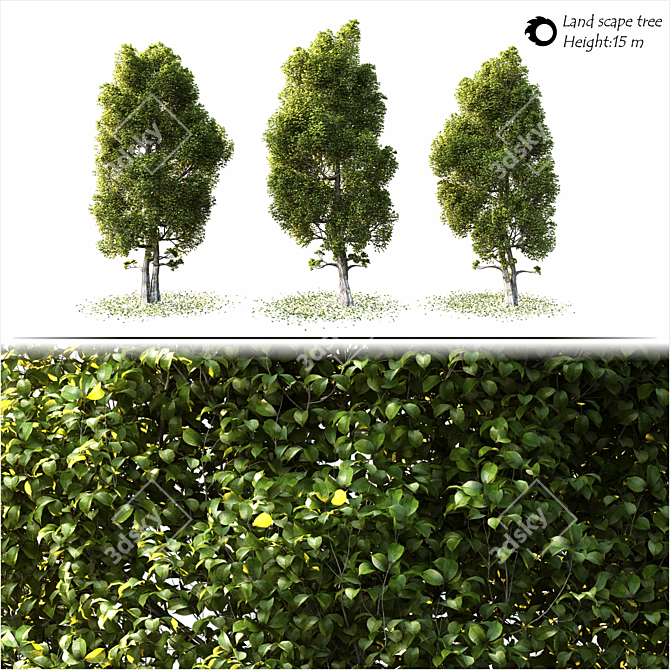 Corona Render Landscape Tree 2014 3D model image 2