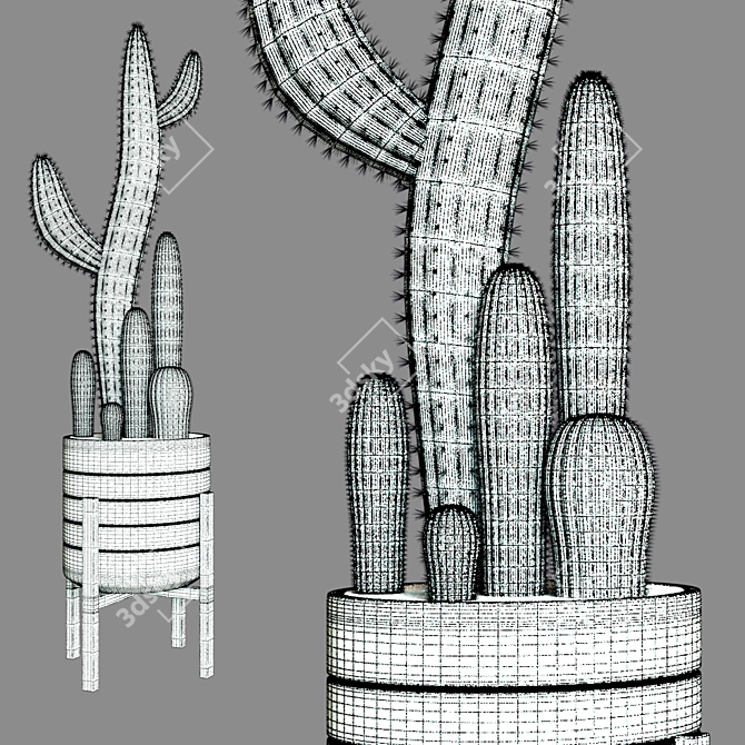 Desert Cactus Collection 3D Model 3D model image 2