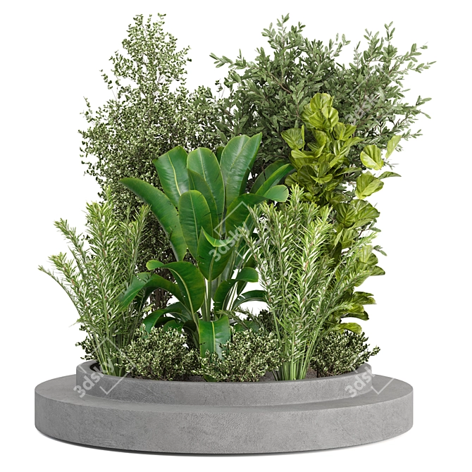 Outdoor Plants Set 295 Collection 3D model image 1