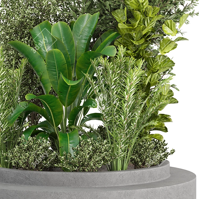 Outdoor Plants Set 295 Collection 3D model image 2