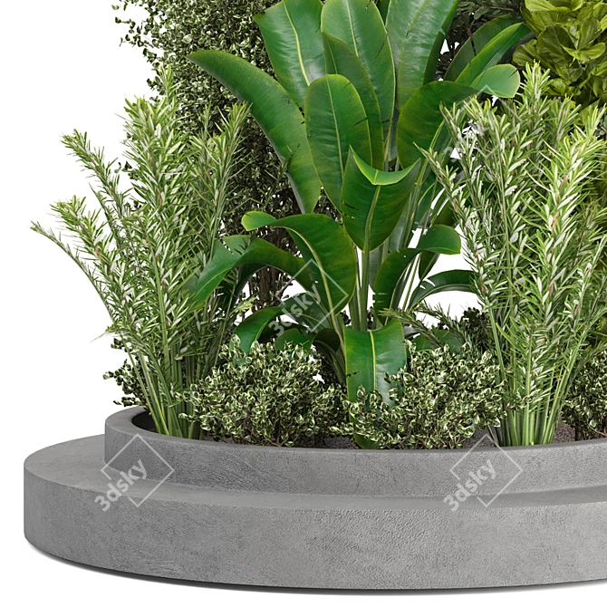 Outdoor Plants Set 295 Collection 3D model image 3