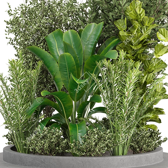 Outdoor Plants Set 295 Collection 3D model image 4