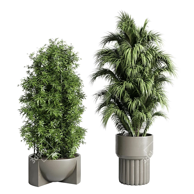 Assorted Indoor Plant Collection 206 3D model image 3