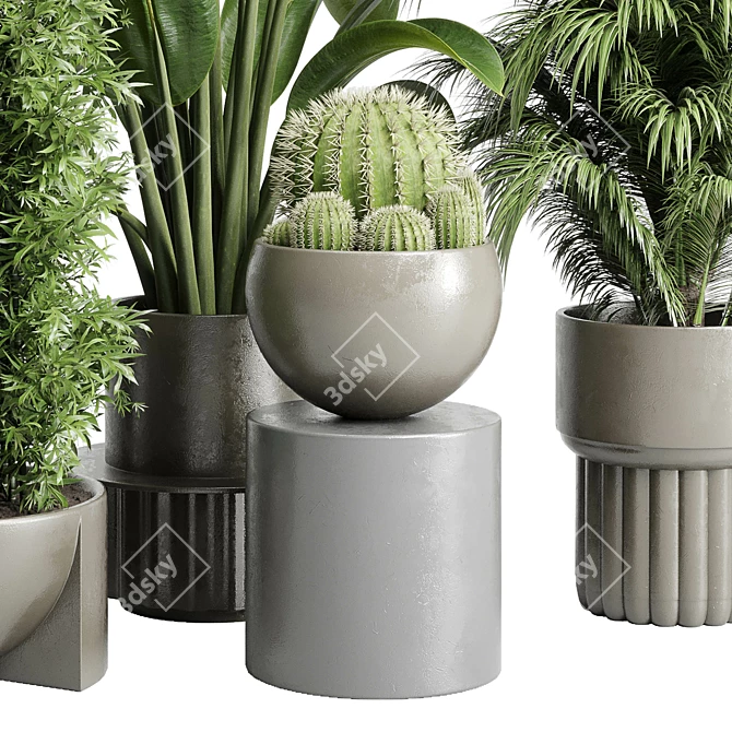 Assorted Indoor Plant Collection 206 3D model image 4