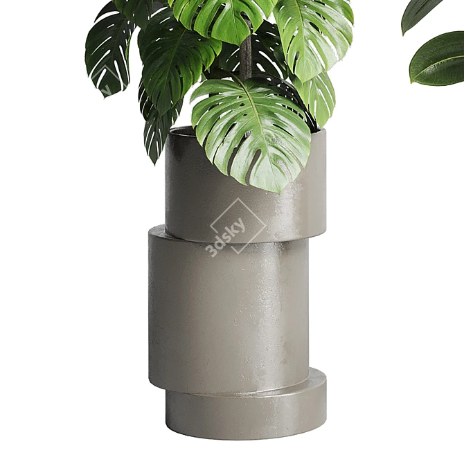 Assorted Indoor Plant Collection 206 3D model image 6