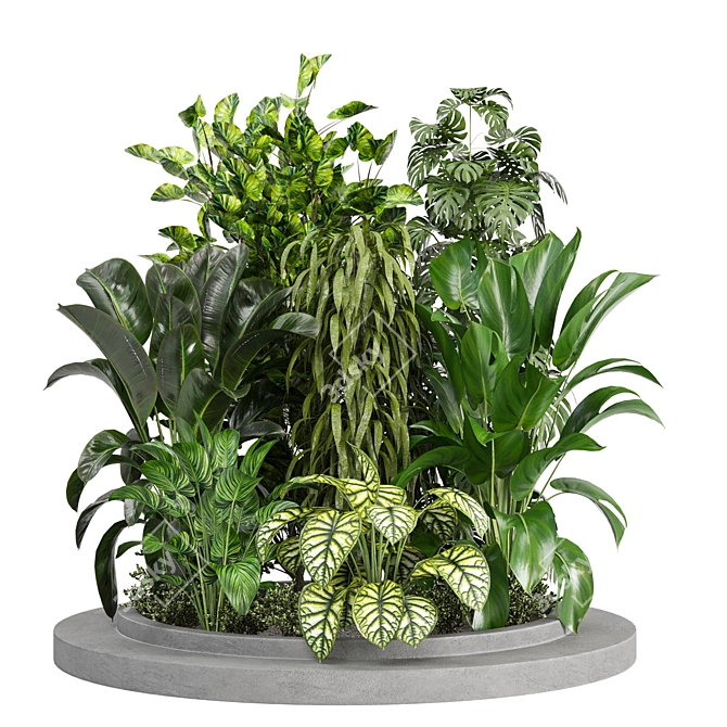 Outdoor Plants Collection Bundle-Variety 3D model image 1