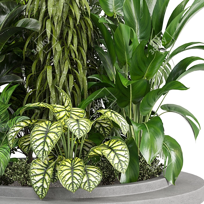 Outdoor Plants Collection Bundle-Variety 3D model image 2