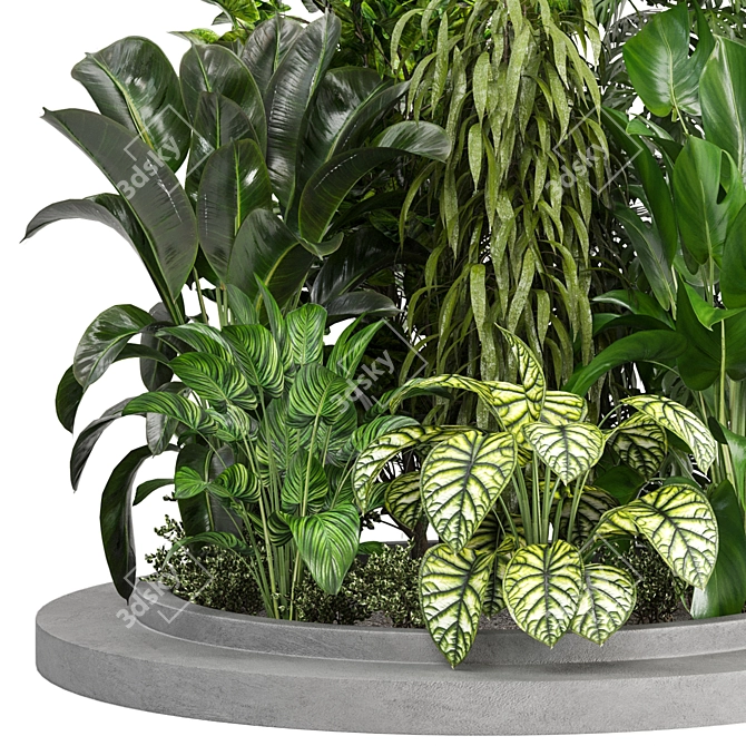 Outdoor Plants Collection Bundle-Variety 3D model image 3