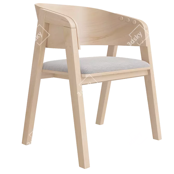 Adjustable Backrest Chair 3D Model 3D model image 2